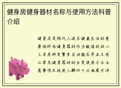 健身房健身器材名称与使用方法科普介绍