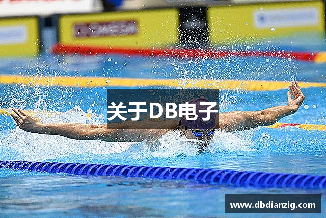 关于DB电子